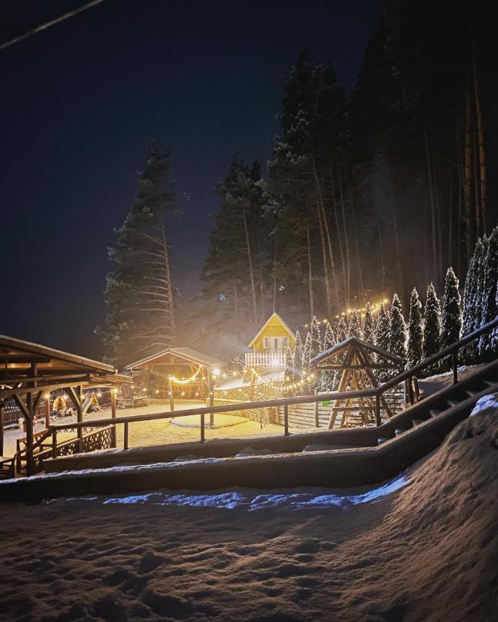 Pensiunea Ioana Ruginesti Buitenkant foto