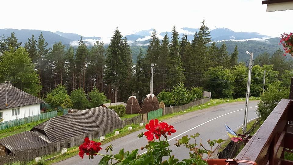 Pensiunea Ioana Ruginesti Buitenkant foto