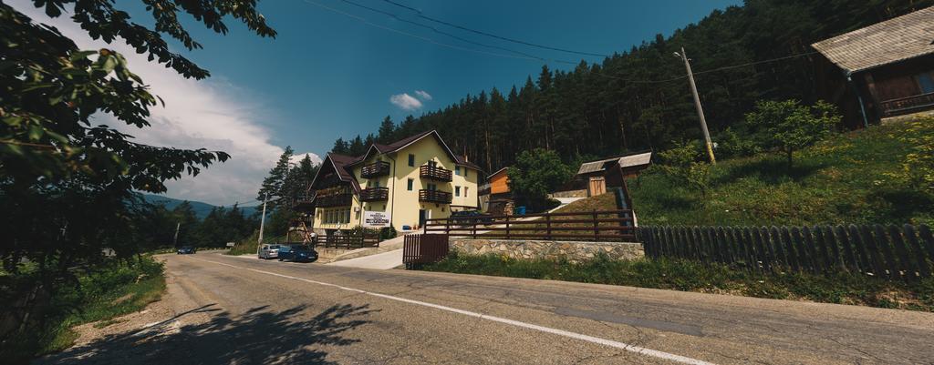 Pensiunea Ioana Ruginesti Buitenkant foto